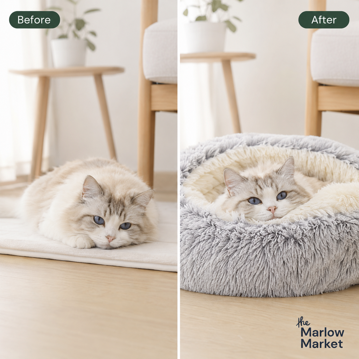 Cat lying on a fluffy pet bed with 'The Marlow Market' branding.