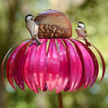 Bird Feeder – Weather-Resistant, Elegant Design for Outdoor Gardens 0