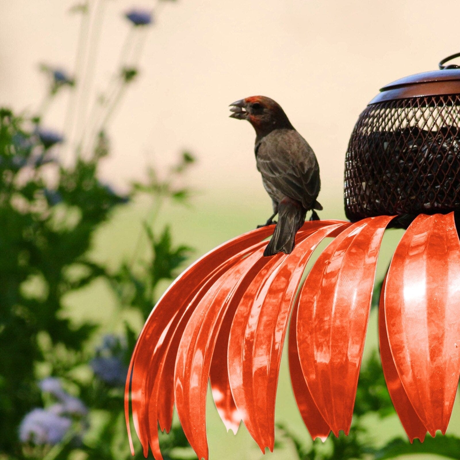 Bird Feeder – Weather-Resistant, Elegant Design for Outdoor Gardens 2