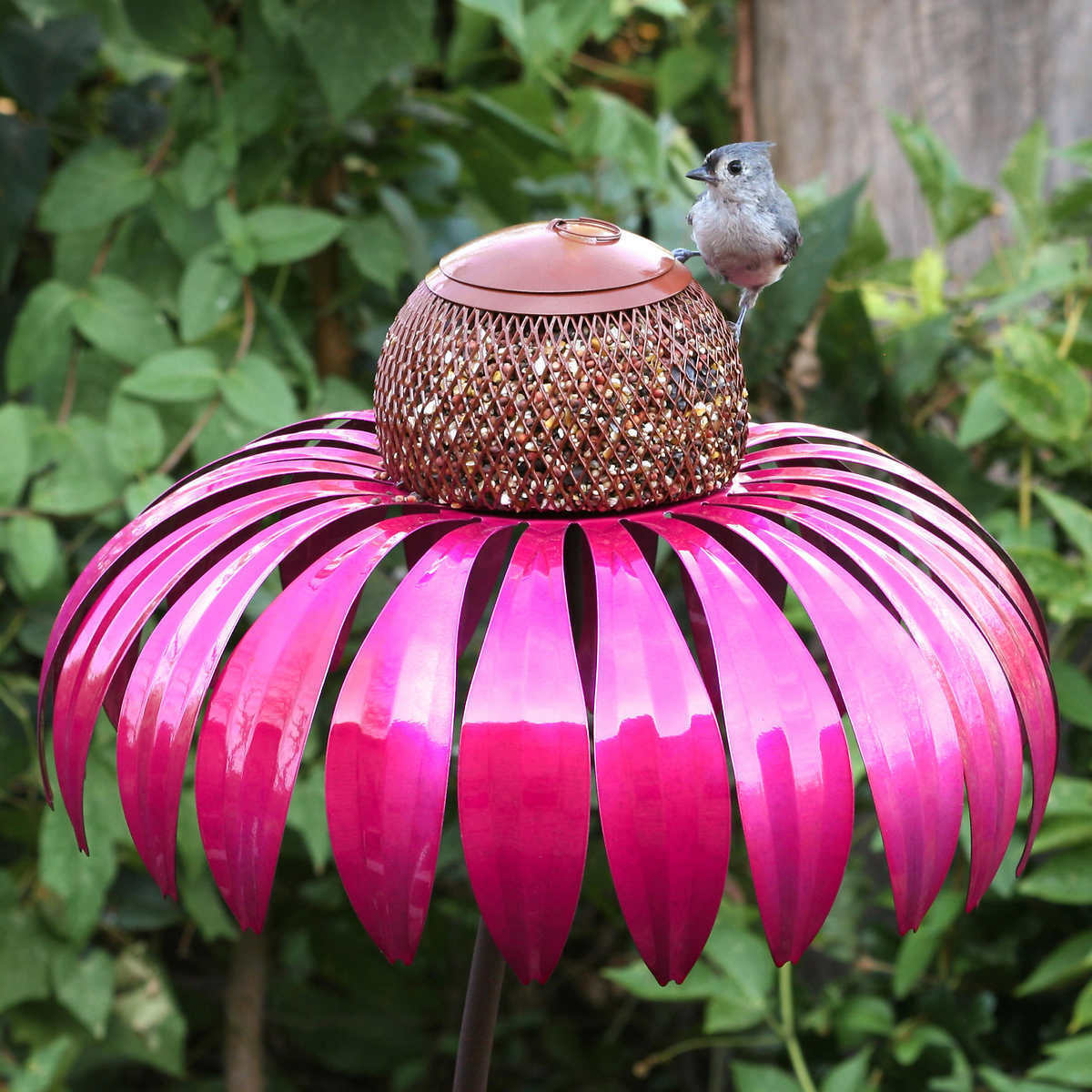 Bird Feeder – Weather-Resistant, Elegant Design for Outdoor Gardens 3
