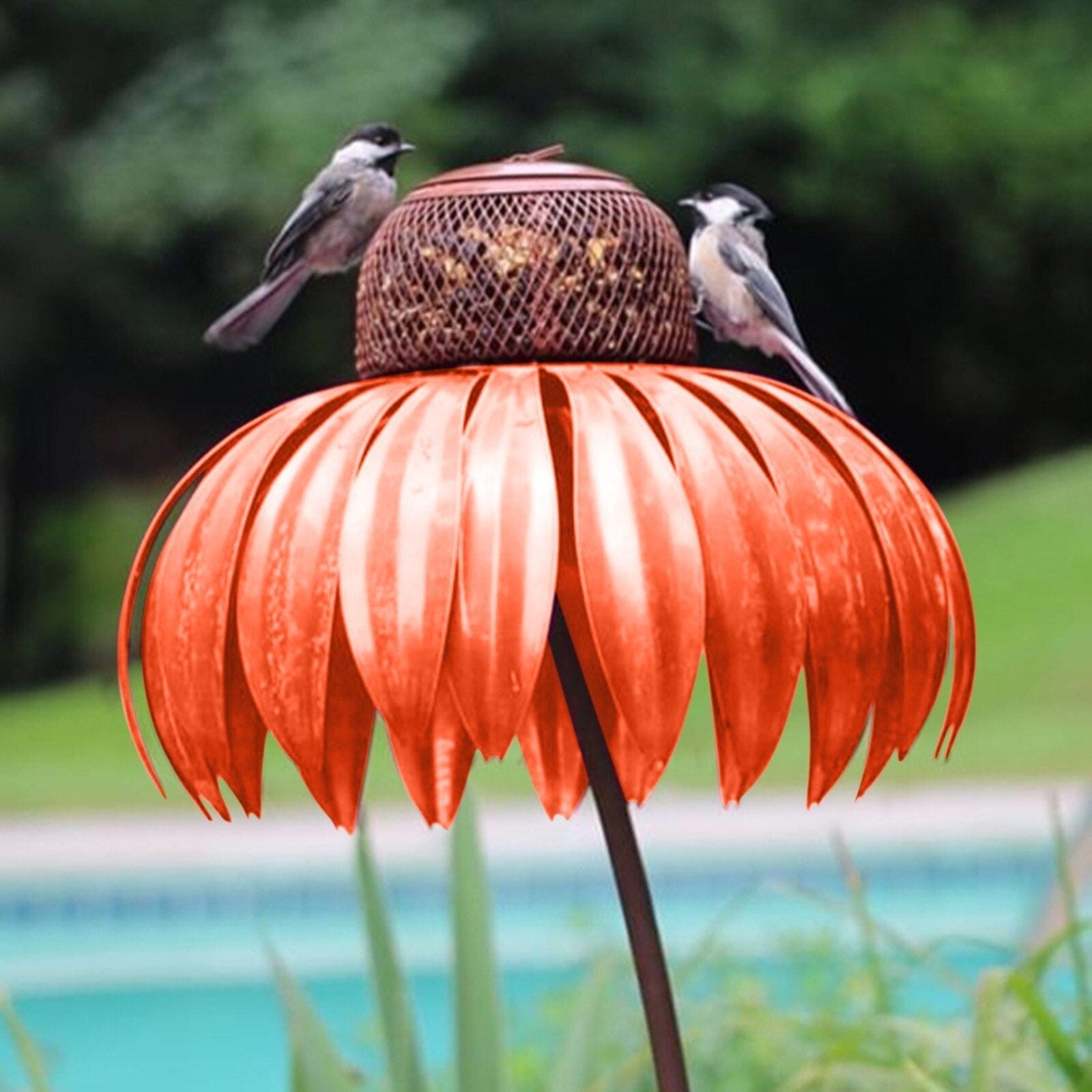 Bird Feeder – Weather-Resistant, Elegant Design for Outdoor Gardens 6