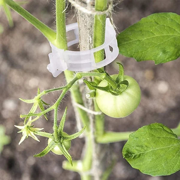 Plant Support Clips – Durable 7 cm Clear Clips for Tomatoes (Set of 10) 2