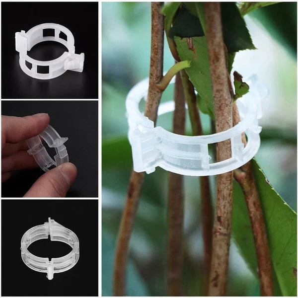 Plant Support Clips – Durable 7 cm Clear Clips for Tomatoes (Set of 10) 4