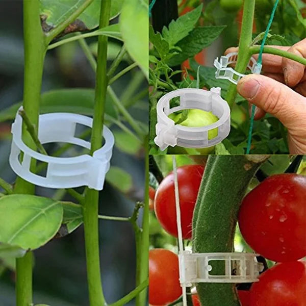 Plant Support Clips – Durable 7 cm Clear Clips for Tomatoes (Set of 10) 5