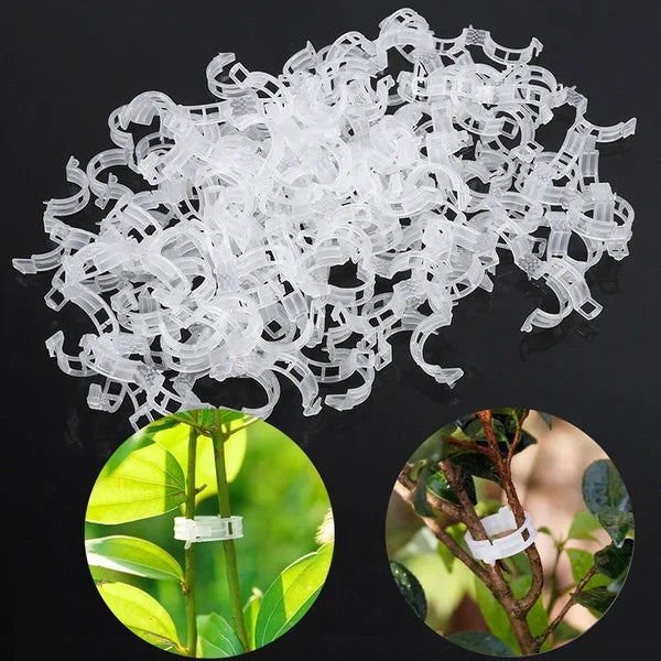 Plant Support Clips – Durable 7 cm Clear Clips for Tomatoes (Set of 10) 6