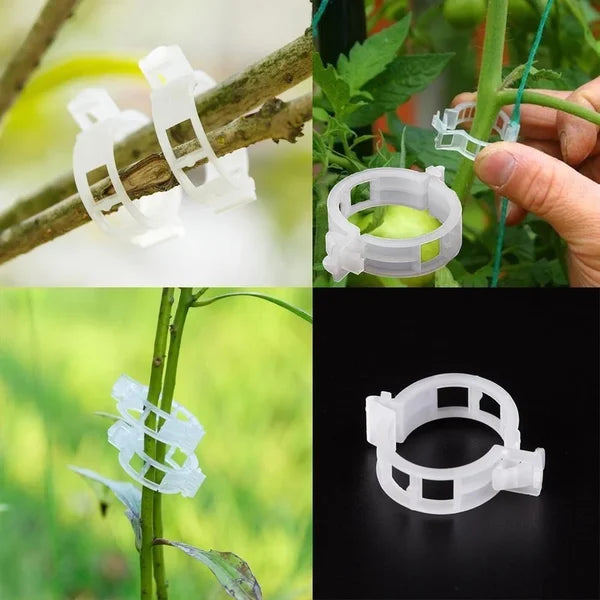 Plant Support Clips – Durable 7 cm Clear Clips for Tomatoes (Set of 10) 8