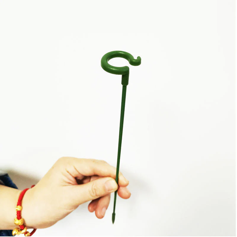 Plant Support Stakes (10 Pcs) – Durable Support for Healthy Tomato Growth 3