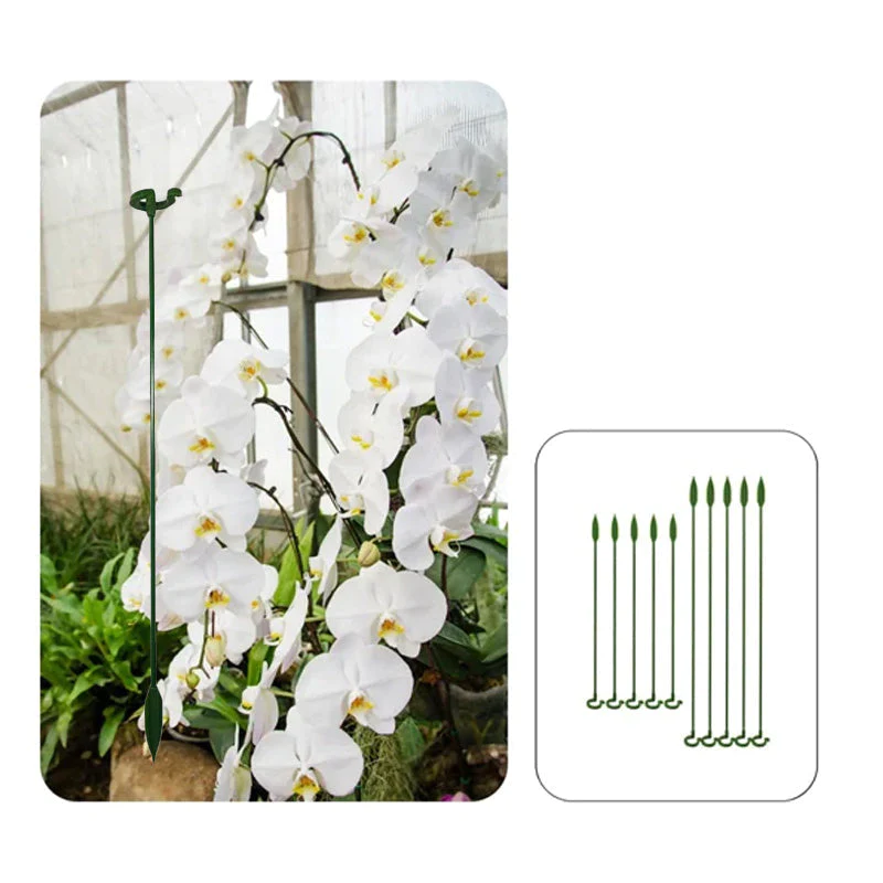 Plant Support Stakes (10 Pcs) – Durable Support for Healthy Tomato Growth 8