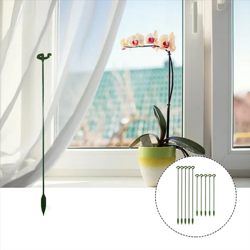 Plant Support Stakes (10 Pcs) – Durable Support for Healthy Tomato Growth 9